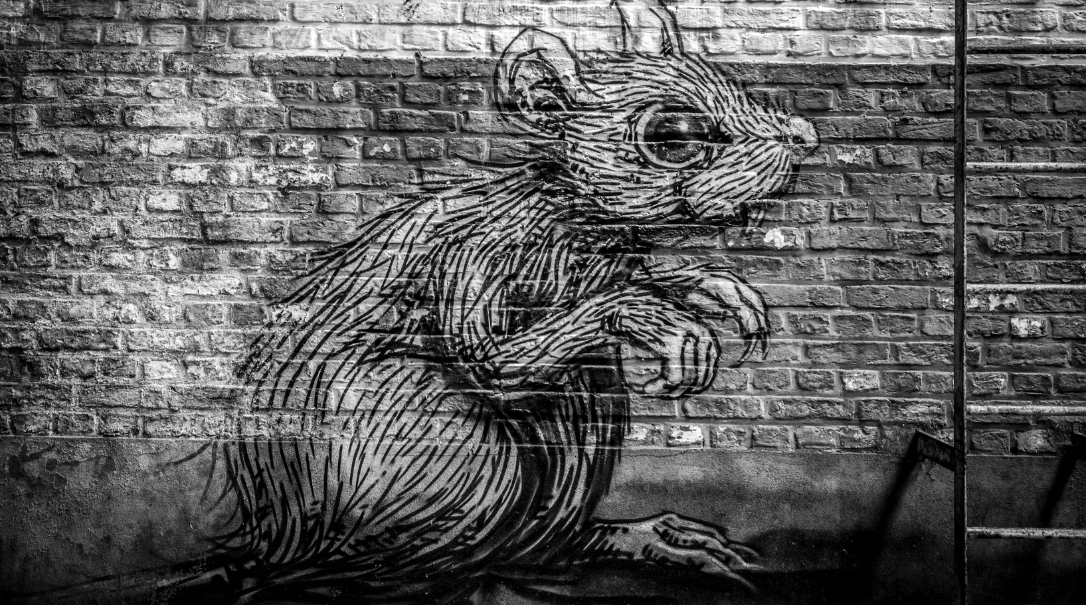 New York City’s rat problem has taken a disgusting turn for the worse